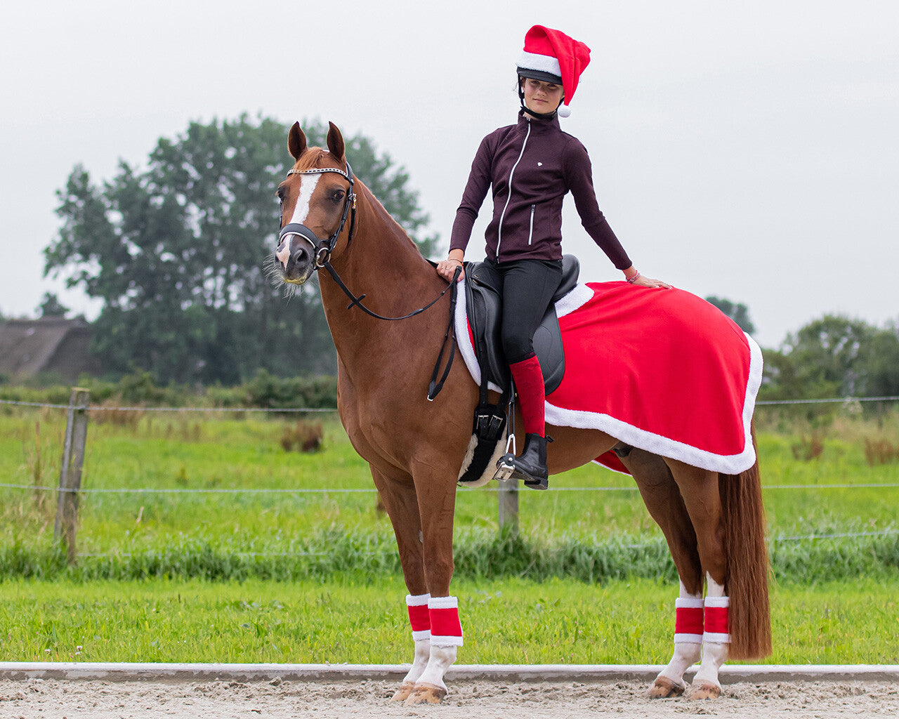 Christmas hat